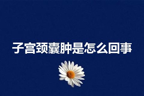 子宫颈囊肿是怎么回事