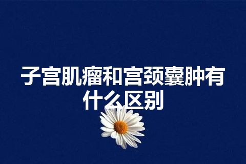 子宫肌瘤和宫颈囊肿有什么区别