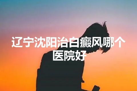 辽宁沈阳治白癜风哪个医院好