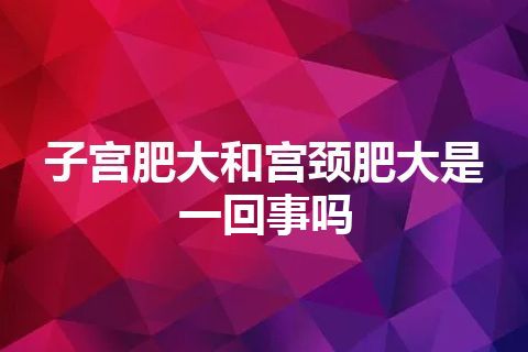 子宫肥大和宫颈肥大是一回事吗