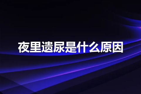 夜里遗尿是什么原因