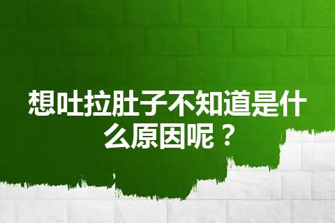 想吐拉肚子不知道是什么原因呢？