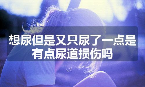 想尿但是又只尿了一点是有点尿道损伤吗