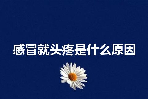 感冒就头疼是什么原因