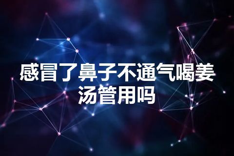 感冒了鼻子不通气喝姜汤管用吗