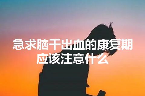 急求脑干出血的康复期应该注意什么