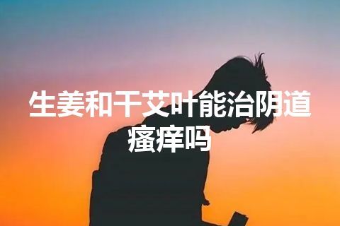 生姜和干艾叶能治阴道瘙痒吗