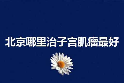 北京哪里治子宫肌瘤最好