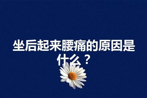 坐后起来腰痛的原因是什么？