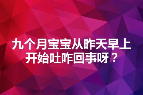 九个月宝宝从昨天早上开始吐咋回事呀？