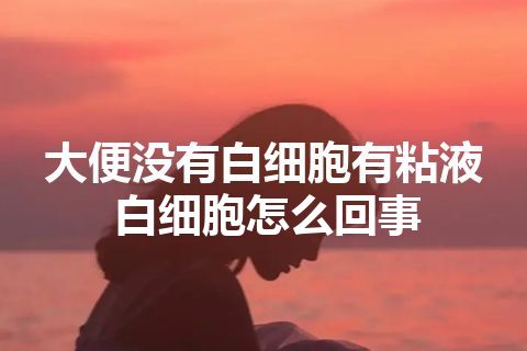 大便没有白细胞有粘液白细胞怎么回事