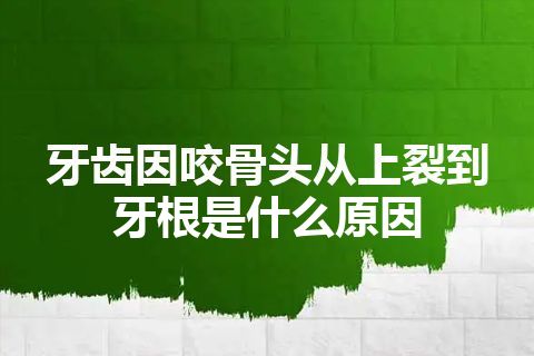 牙齿因咬骨头从上裂到牙根是什么原因