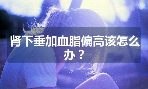 肾下垂加血脂偏高该怎么办？