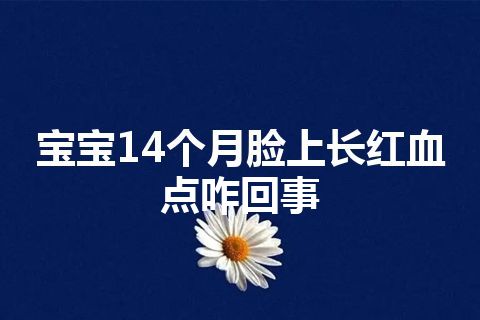 宝宝14个月脸上长红血点咋回事