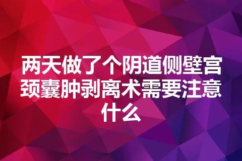 两天做了个阴道侧壁宫颈囊肿剥离术需要注意什么