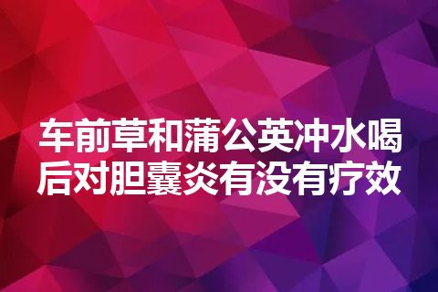 车前草和蒲公英冲水喝后对胆囊炎有没有疗效