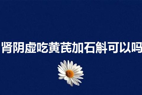 肾阴虚吃黄芪加石斛可以吗