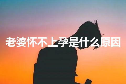 老婆怀不上孕是什么原因