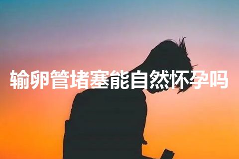 输卵管堵塞能自然怀孕吗