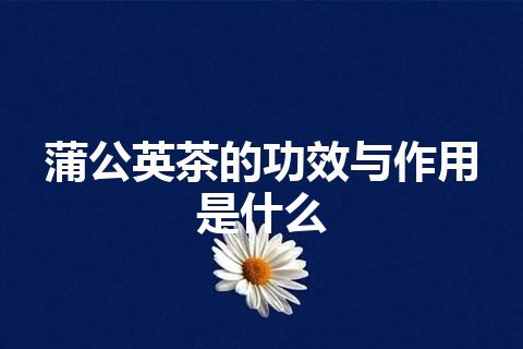 蒲公英茶的功效与作用是什么