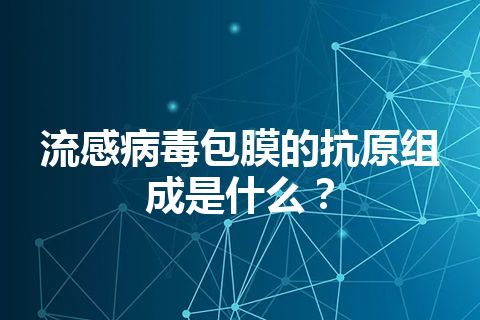 流感病毒包膜的抗原组成是什么？