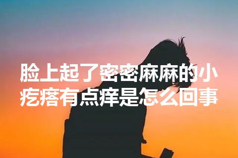 脸上起了密密麻麻的小疙瘩有点痒是怎么回事