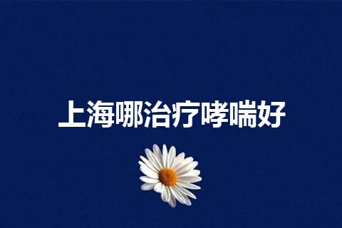 上海哪治疗哮喘好