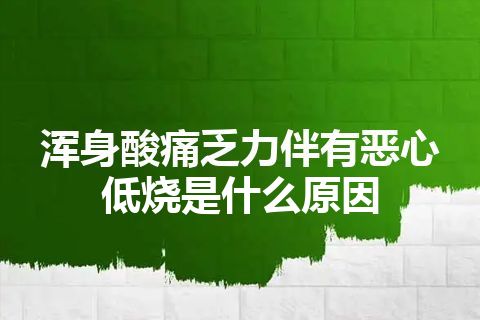 浑身酸痛乏力伴有恶心低烧是什么原因