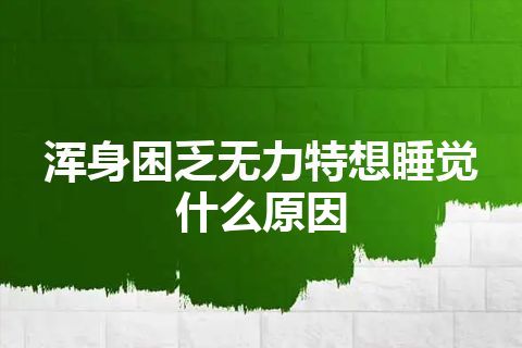 浑身困乏无力特想睡觉什么原因