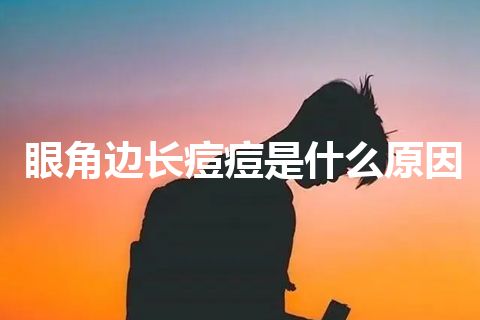 眼角边长痘痘是什么原因