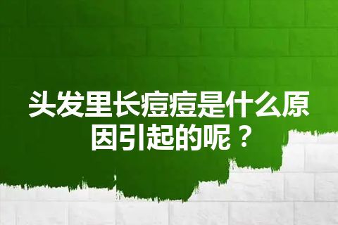 头发里长痘痘是什么原因引起的呢？