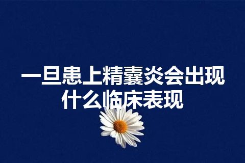 一旦患上精囊炎会出现什么临床表现