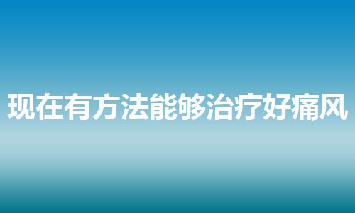 现在有方法能够治疗好痛风