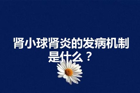 肾小球肾炎的发病机制是什么？