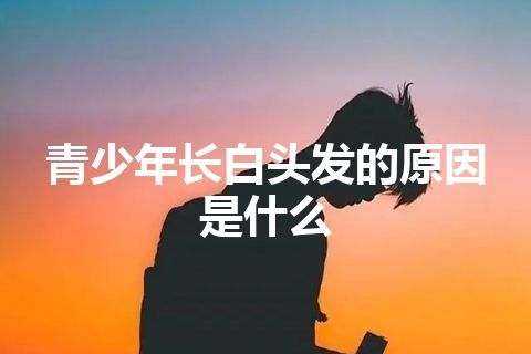 青少年长白头发的原因是什么