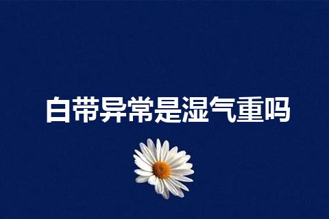 白带异常是湿气重吗