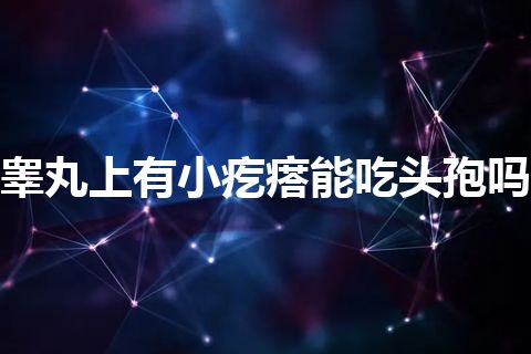 睾丸上有小疙瘩能吃头孢吗