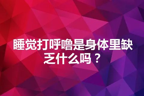 睡觉打呼噜是身体里缺乏什么吗？