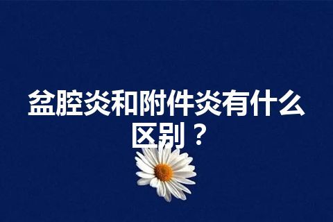 盆腔炎和附件炎有什么区别？