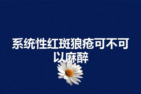 系统性红斑狼疮可不可以麻醉