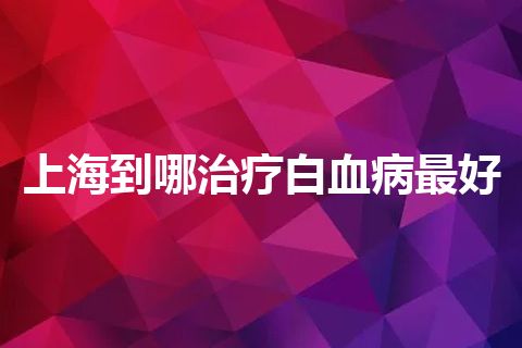 上海到哪治疗白血病最好