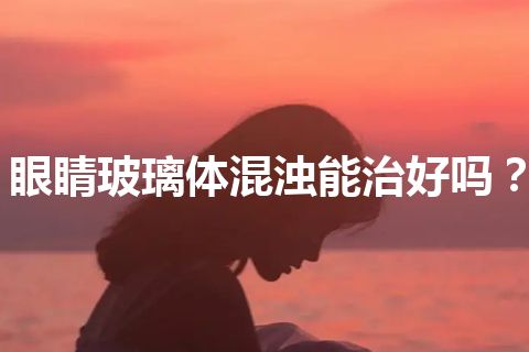 眼睛玻璃体混浊能治好吗？