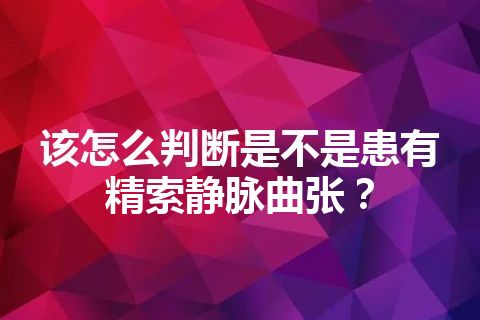 该怎么判断是不是患有精索静脉曲张？