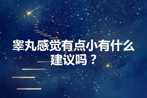 睾丸感觉有点小有什么建议吗？