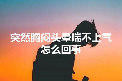 突然胸闷头晕喘不上气怎么回事