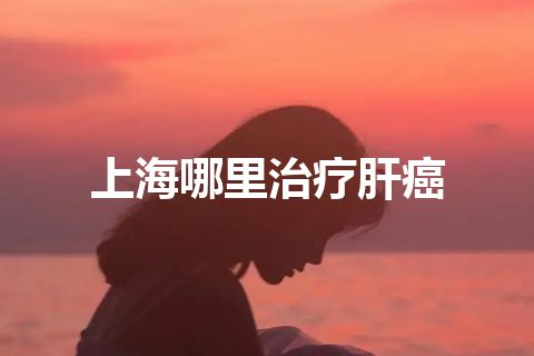 上海哪里治疗肝癌