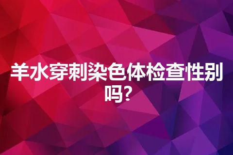 羊水穿刺染色体检查性别吗?