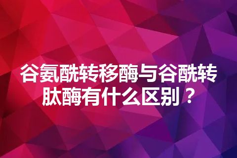 谷氨酰转移酶与谷酰转肽酶有什么区别？