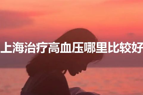 上海治疗高血压哪里比较好