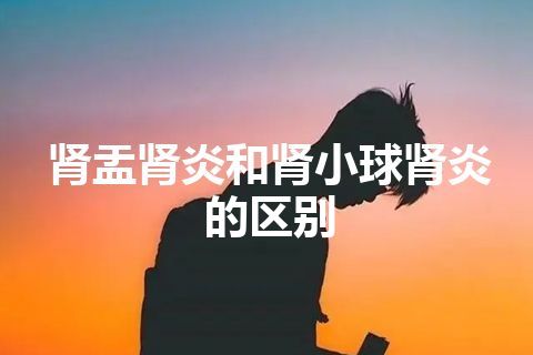 肾盂肾炎和肾小球肾炎的区别